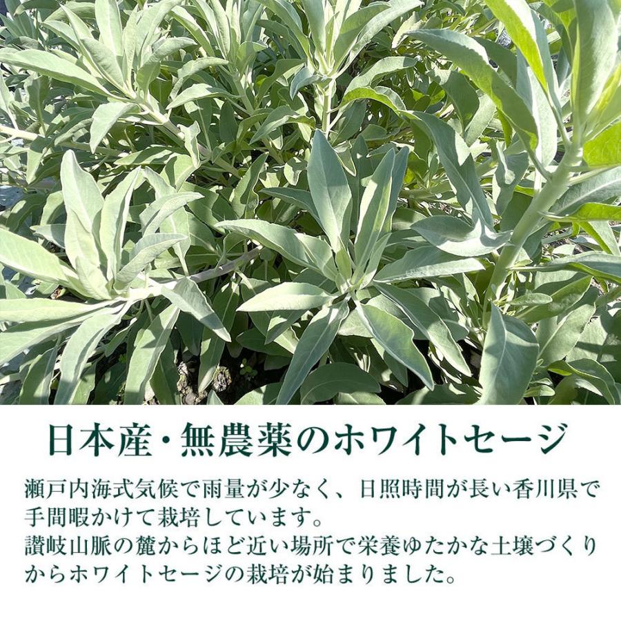 日本産 ホワイトセージ 枝のみ 20g 【２袋セット】浄化用 消臭 パワーストーン 浄化 お香 |  | 04