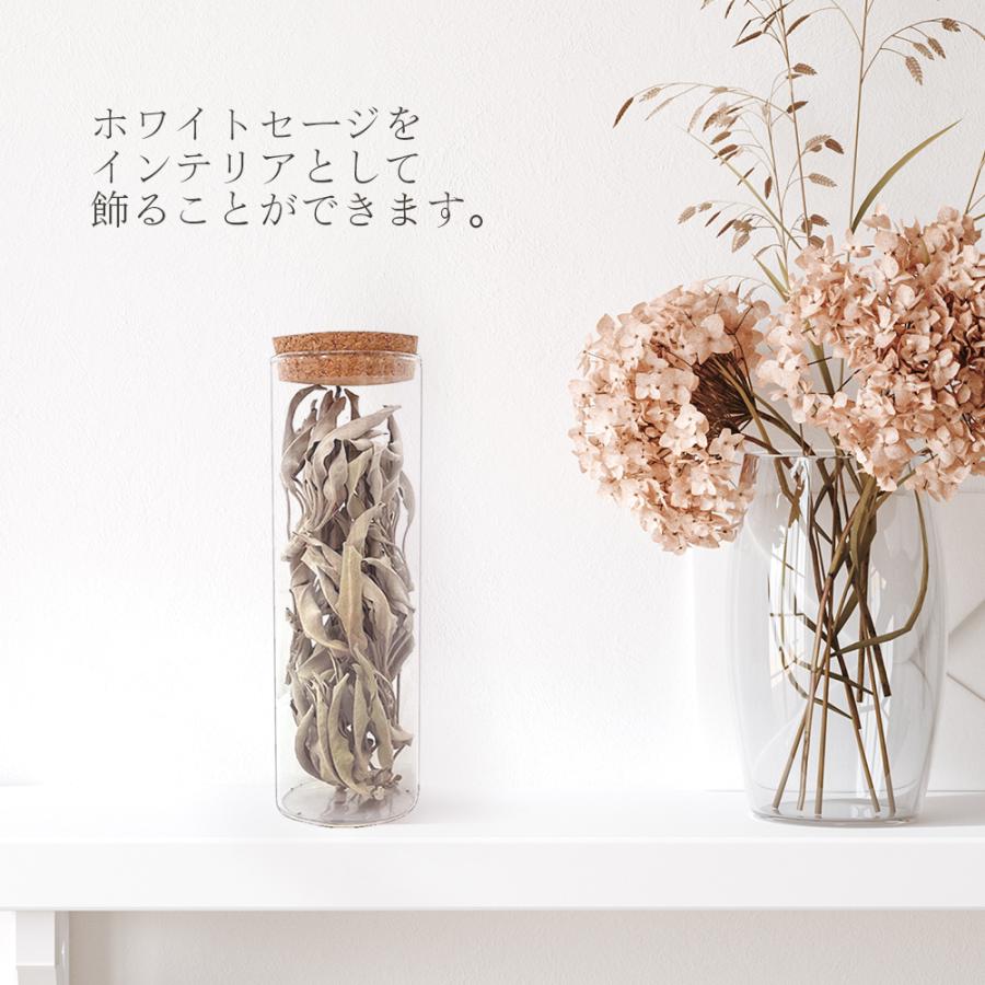 日本産 ホワイトセージ 20g ガラスボトル入り 瓶 セージ 浄化 容器