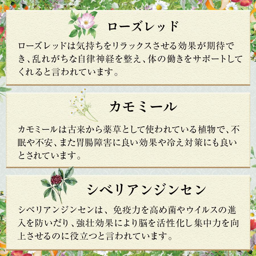 日本産 ホワイトセージ ハーブティー 2g×7袋 4袋セット  White sage Herbal tea 送料無料 |  | 04