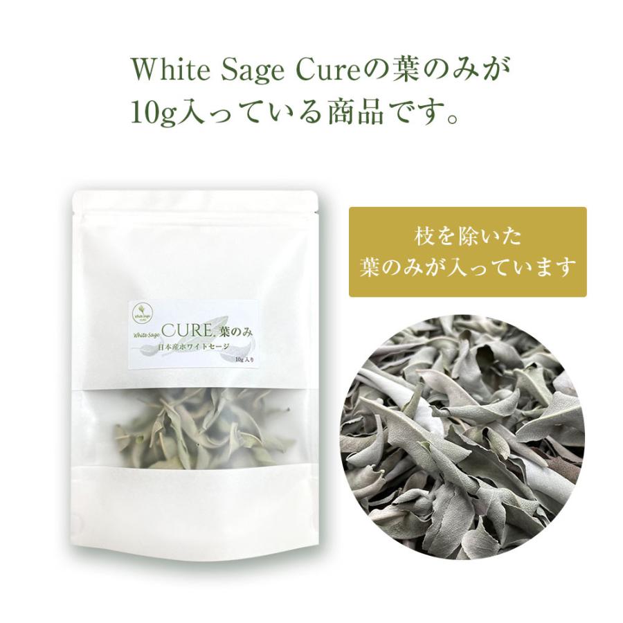 ホワイトセージ キュア 葉のみ 日本産ホワイトセージ【２袋セット】 無農薬 浄化 消臭 お香 アロマ Japanese white sage leaves only 10g |  | 01