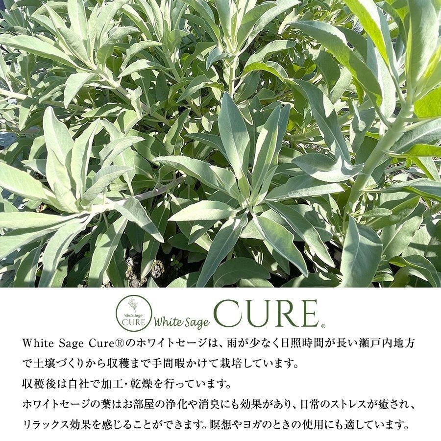 ホワイトセージ キュア 葉のみ 日本産ホワイトセージ【２袋セット】 無農薬 浄化 消臭 お香 アロマ Japanese white sage leaves only 10g |  | 02