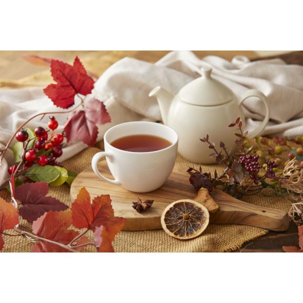 Tokyo Tea Trading Mug&Pot オーガニック ルイボスティー 2208 | Tokyo Tea Trading | 02