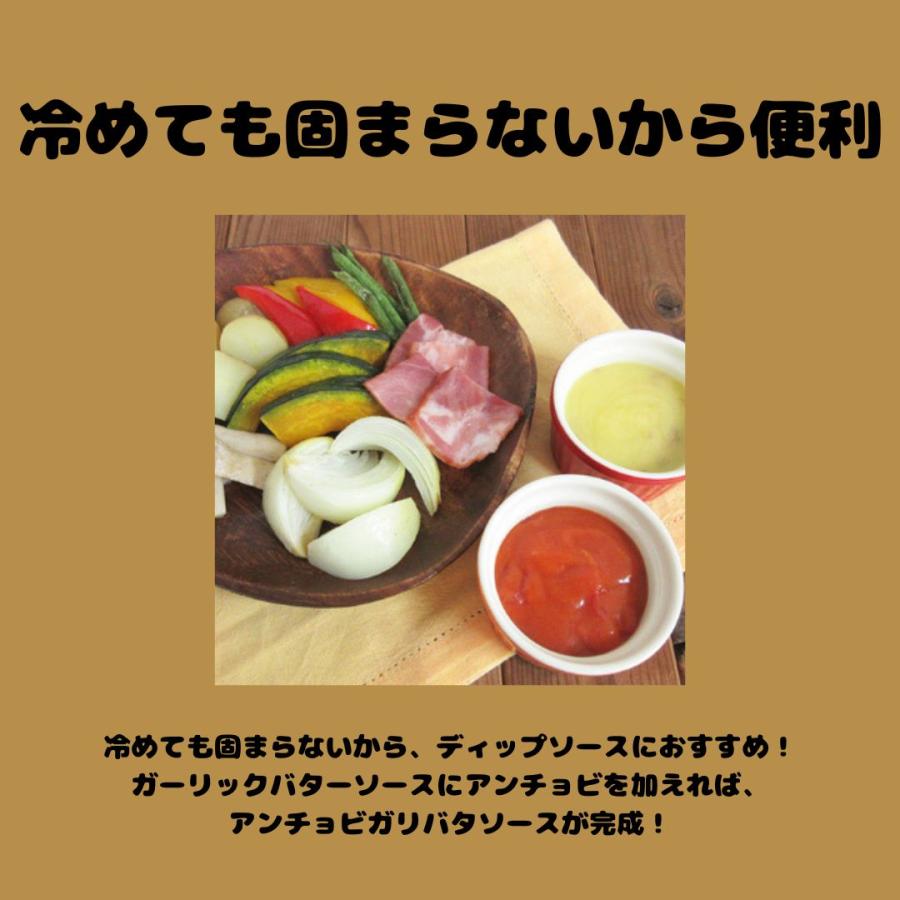 ケンコー ガーリックバターソース 515g　常温　爆買 | ケンコーマヨネーズ | 02