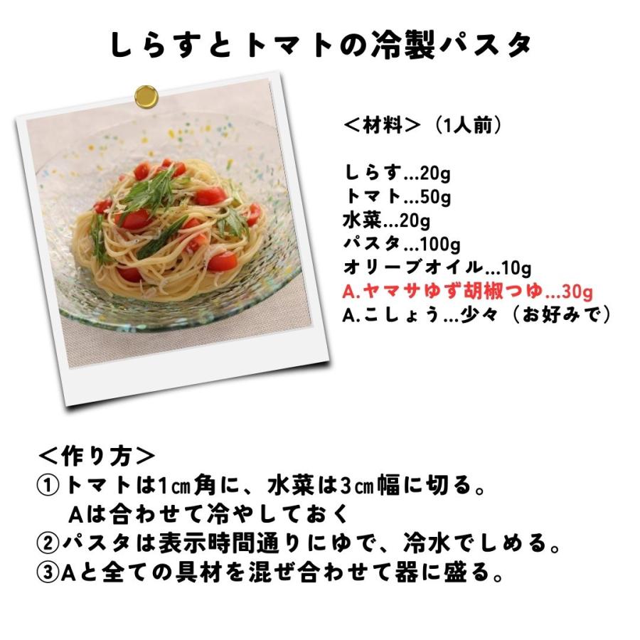 ヤマサ　ゆず胡椒つゆ（業務用濃縮）　500ml  　常温　爆買 | ヤマサ | 04