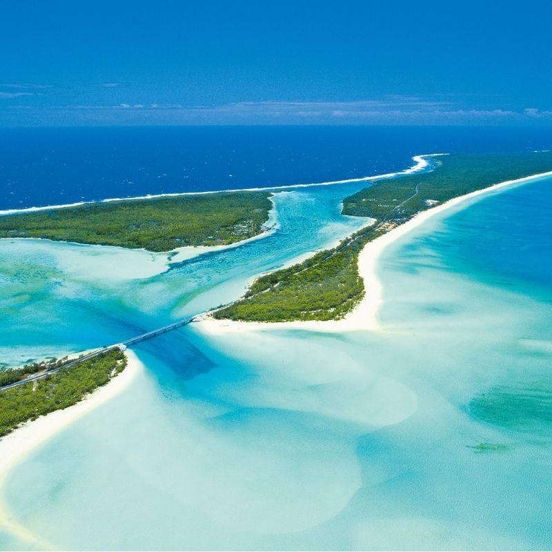 ニューカレドニア 天使の海老 30-40 1kg 約35尾 冷凍　爆買 |  | 05