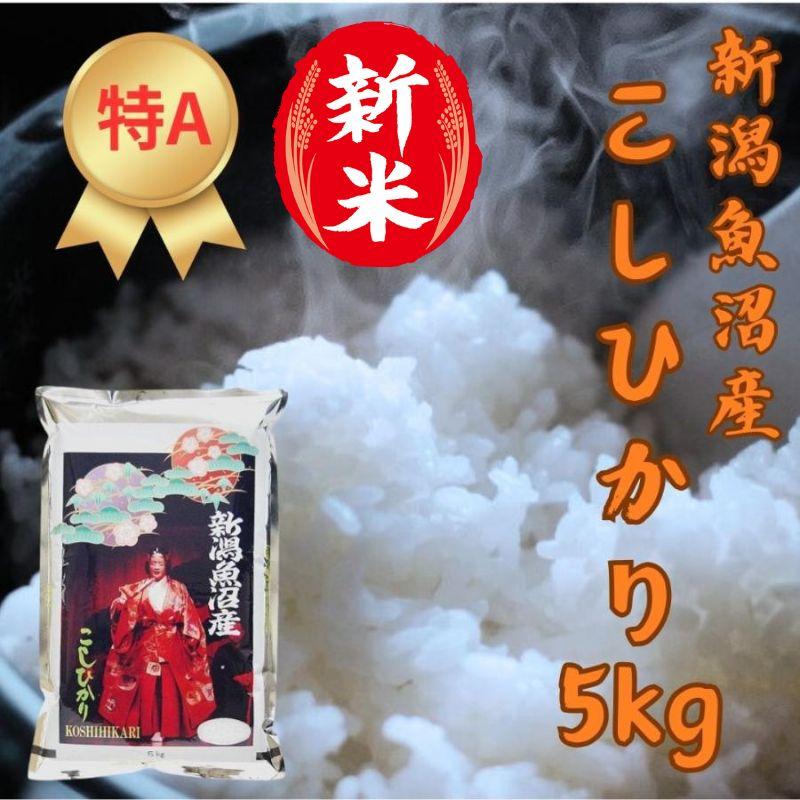 お米 5kg 魚沼産こしひかり 魚沼産コシヒカリ　特A　新潟県　白米　おこめ　うるち米　令和6年産　爆買 | コシヒカリ