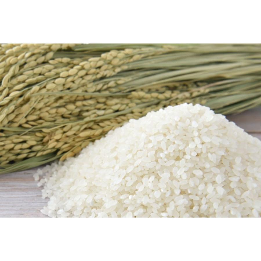 お米 5kg 魚沼産こしひかり 魚沼産コシヒカリ　特A　新潟県　白米　おこめ　うるち米　令和6年産　爆買 | コシヒカリ | 01