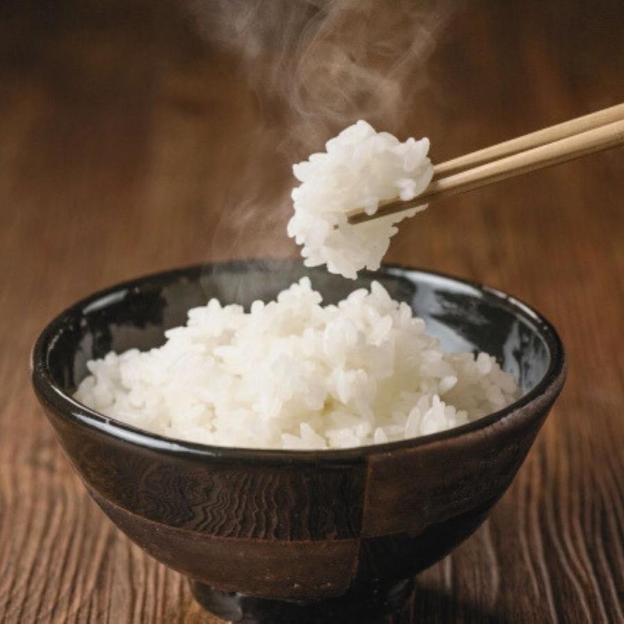 お米 5kg 魚沼産こしひかり 魚沼産コシヒカリ　特A　新潟県　白米　おこめ　うるち米　令和6年産　爆買 | コシヒカリ | 02