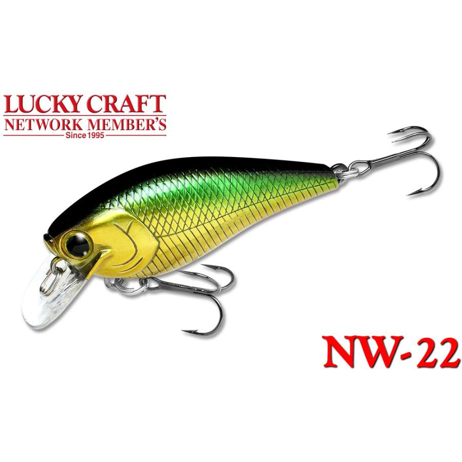 ラッキークラフト NW-Amigo 22 FAT CB BDS Magic 1.2 | LUCKY CRAFT