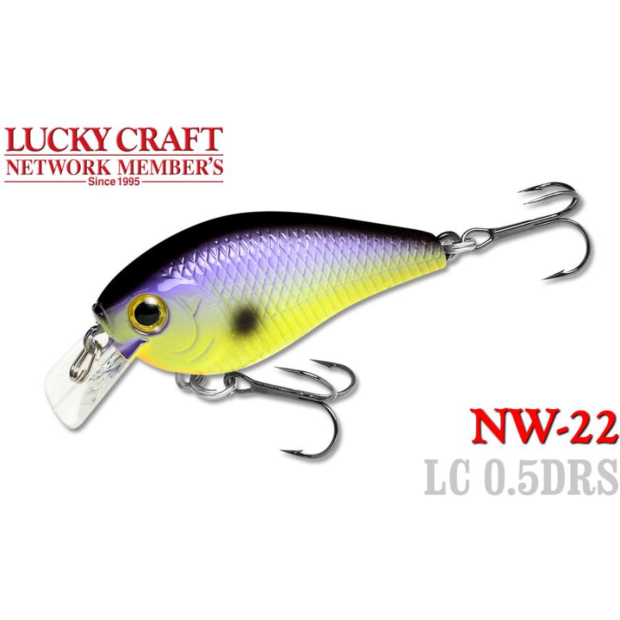 ラッキークラフト NW-Amigo 22 LC 0.5 DRS | LUCKY CRAFT