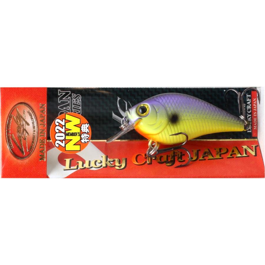 ラッキークラフト NW-Amigo 22 LC 0.5 DRS | LUCKY CRAFT | 02