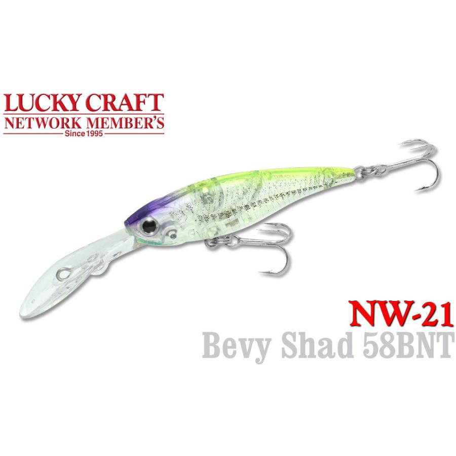 ラッキークラフト NW-Amigo 21 ベビーシャッド58BNT | LUCKY CRAFT