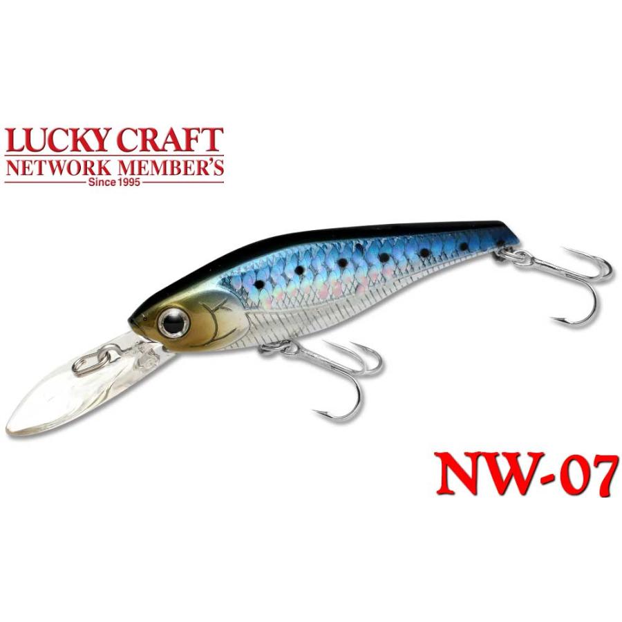 LUCKY CRAFT（ラッキークラフト） NW-Amigo 07 / NW Shad 70