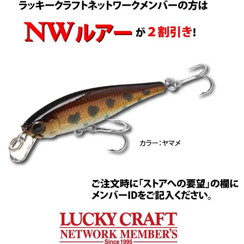 ラッキークラフト NW-Amigo 04 ポインター48 / ビーフリーズ48 | LUCKY CRAFT | 03