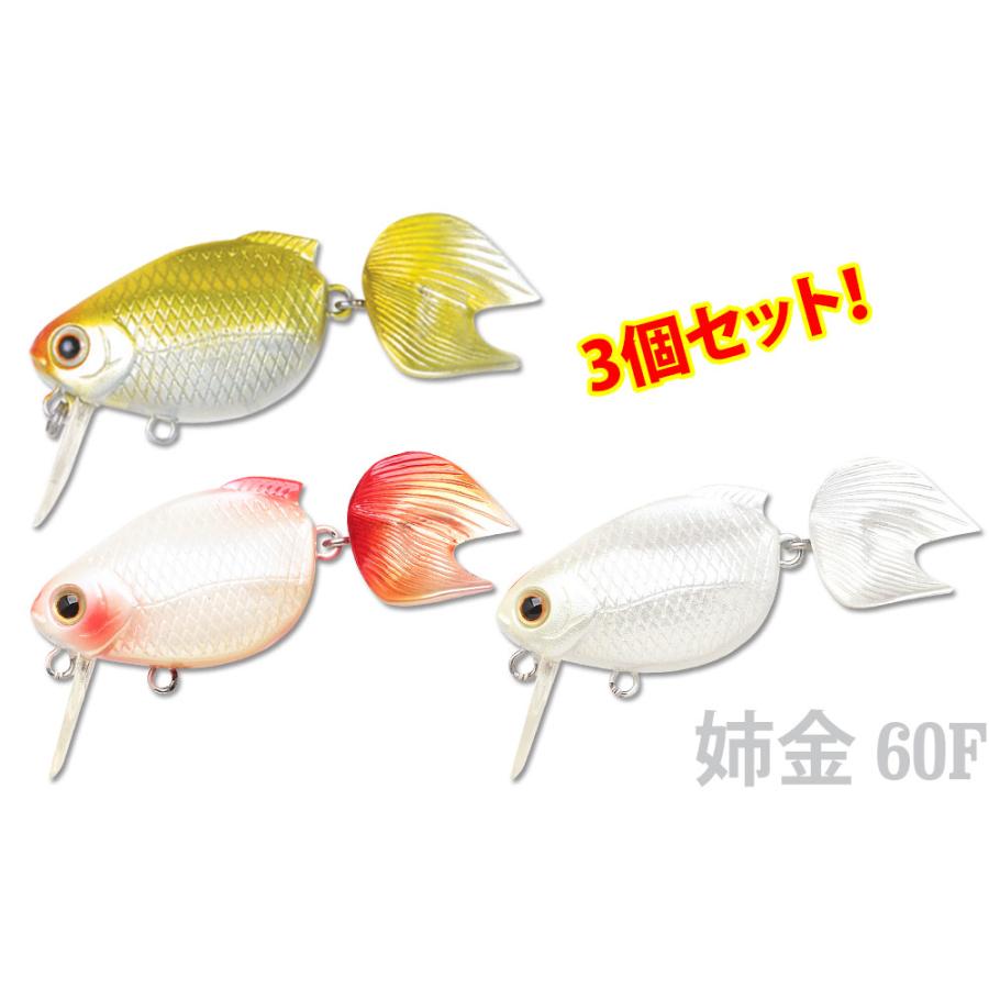 ラッキークラフト 金魚・姉金60F お試しセット1 (3個セット)  (キンギョリミテッド+六鱗+丹頂) | LUCKY CRAFT