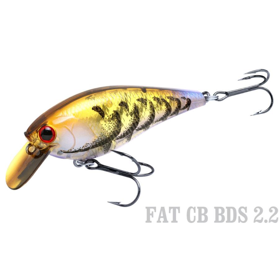 LUCKY CRAFT（ラッキークラフト） ラッキークラフトUSA FAT CB BDS