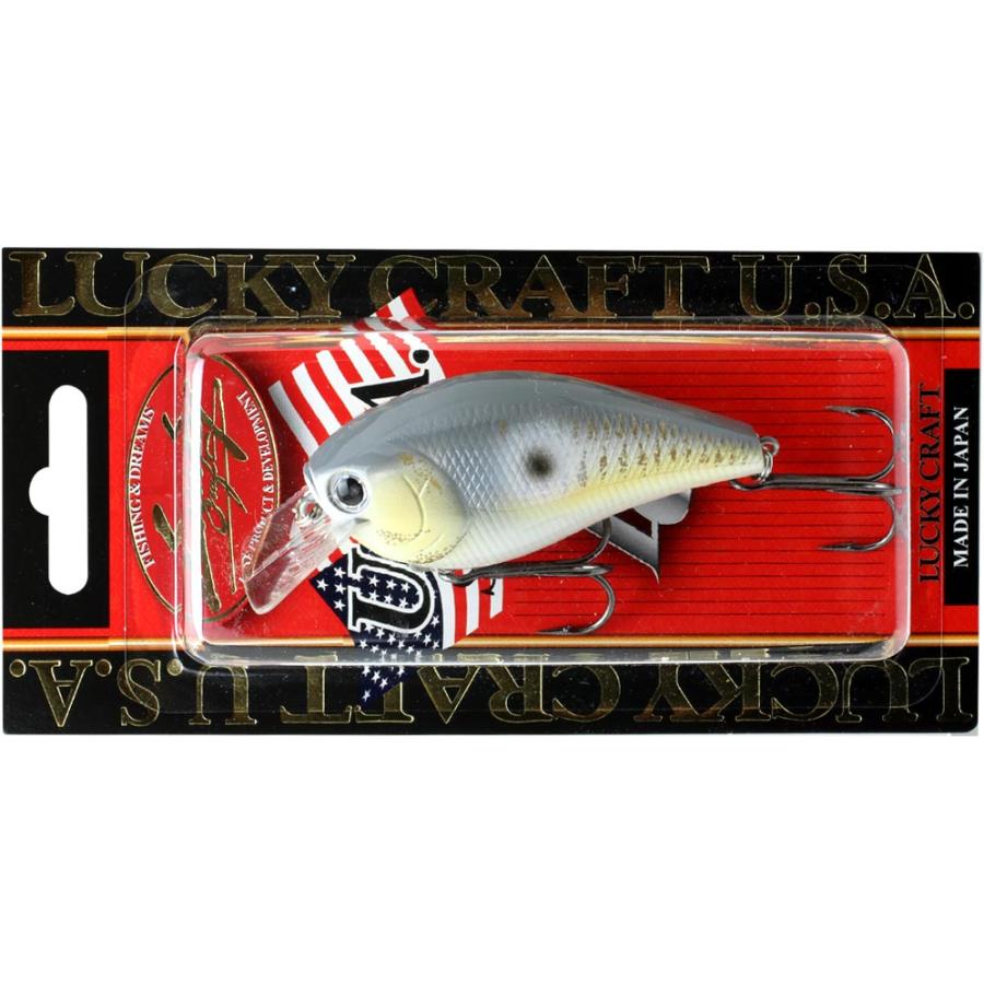 ラッキークラフトUSA LC 2.5サイレント | LUCKY CRAFT | 20