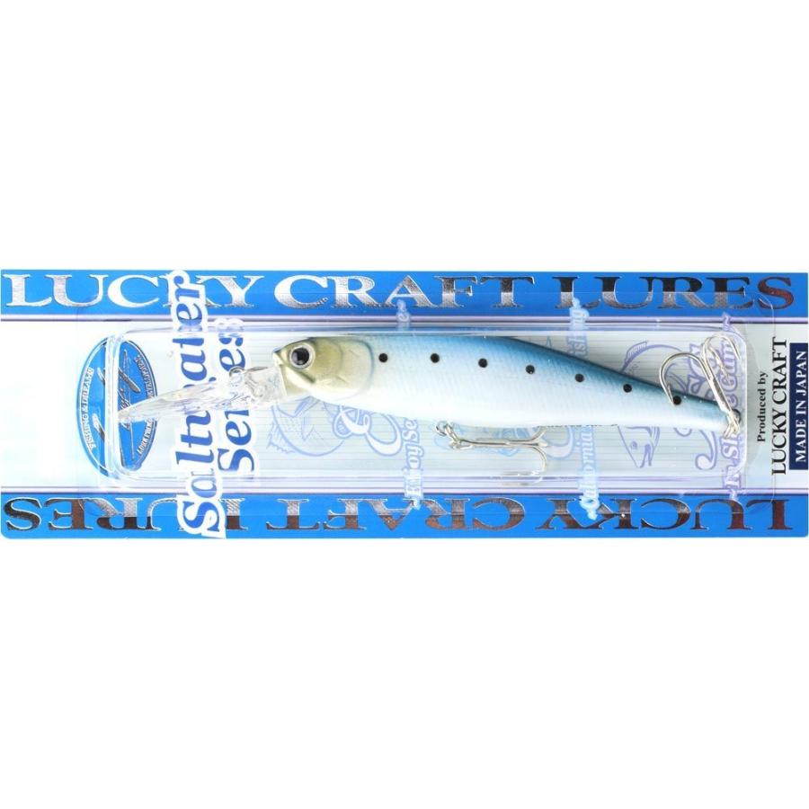 ラッキークラフト USA ポインター100DD-S - ソルトカラー | LUCKY CRAFT | 06