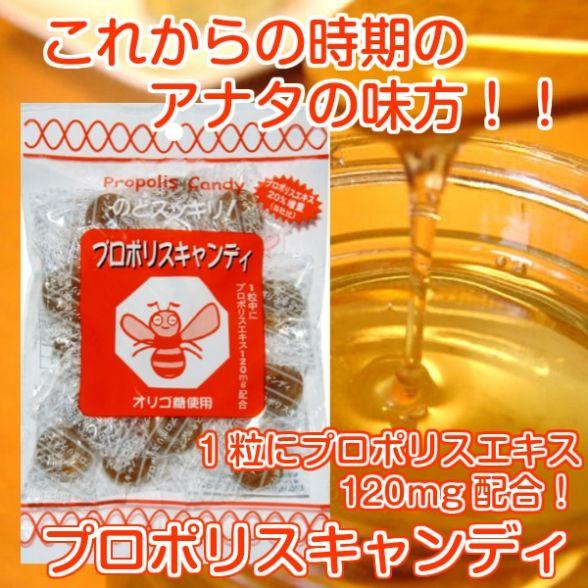 プロポリスキャンディー１００ｇ×１袋／ソーキ | 