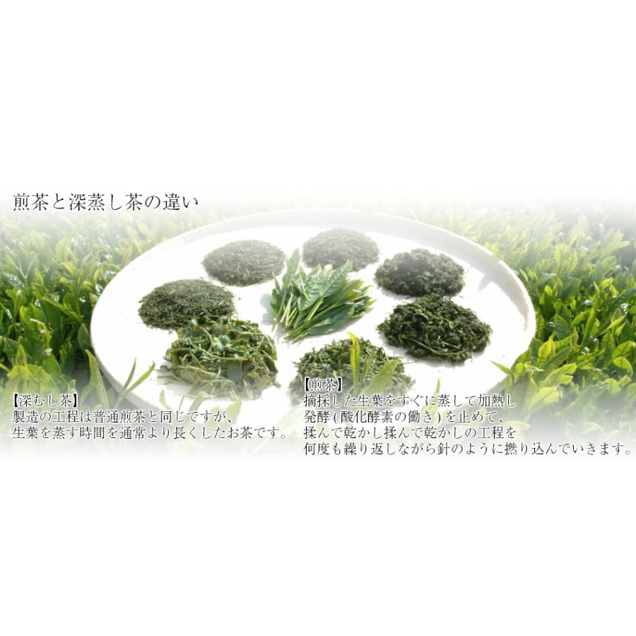 お茶　送料無料 竹の露８０ｇ/送料無料 |  | 03