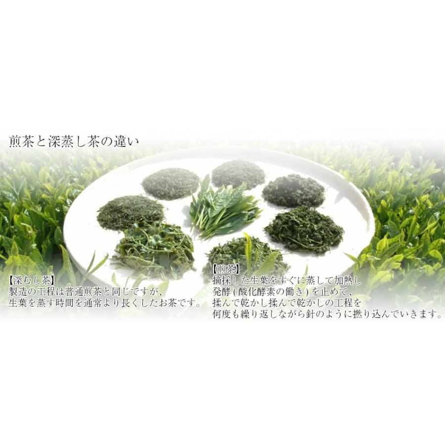 お茶 送料無料 深山100ｇ/送料無料 |  | 03