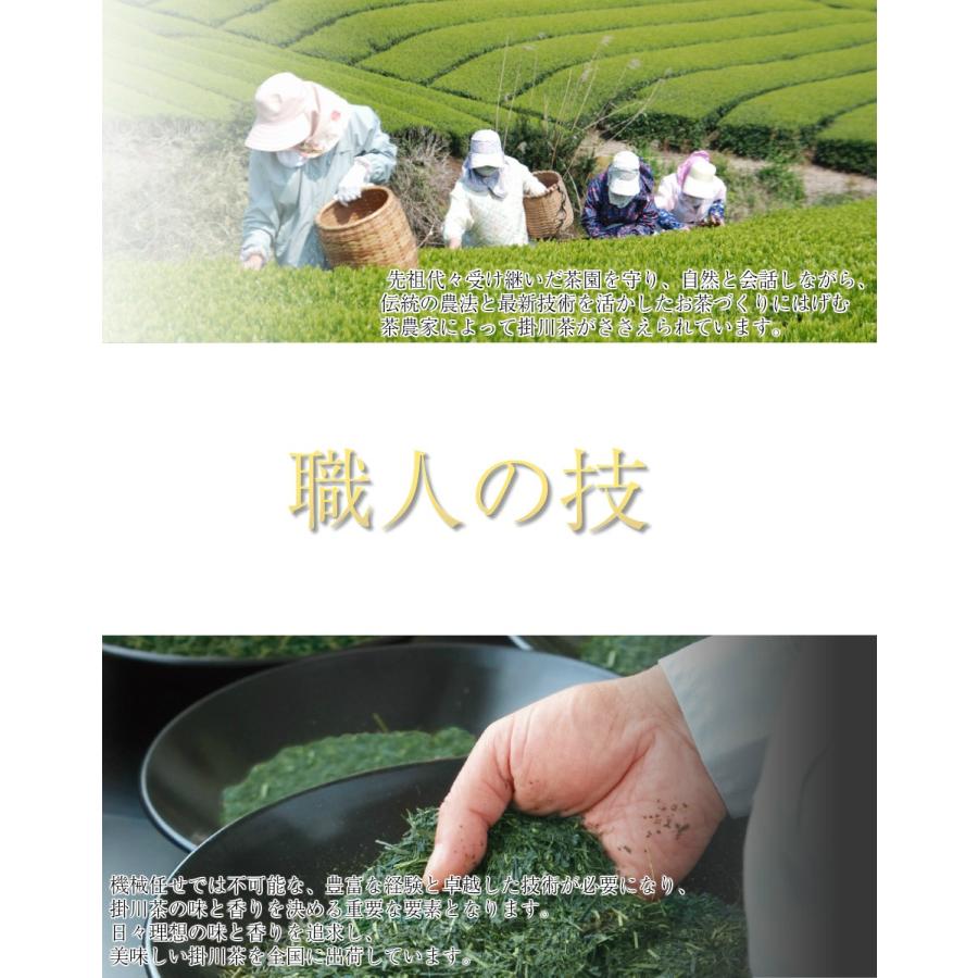 お茶 送料無料 竹の露８０ｇ×２袋 緑茶、日本茶