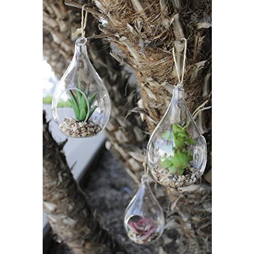 Natures Mark 3パック 高さ6インチ フェイク多肉植物 ティアドロップ吊り下げガラス 