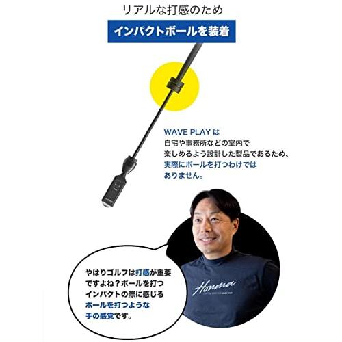GOLFZON(ゴルフゾン) WAVE PLAY(ウェーブプレイ) ゴルフ 家庭用