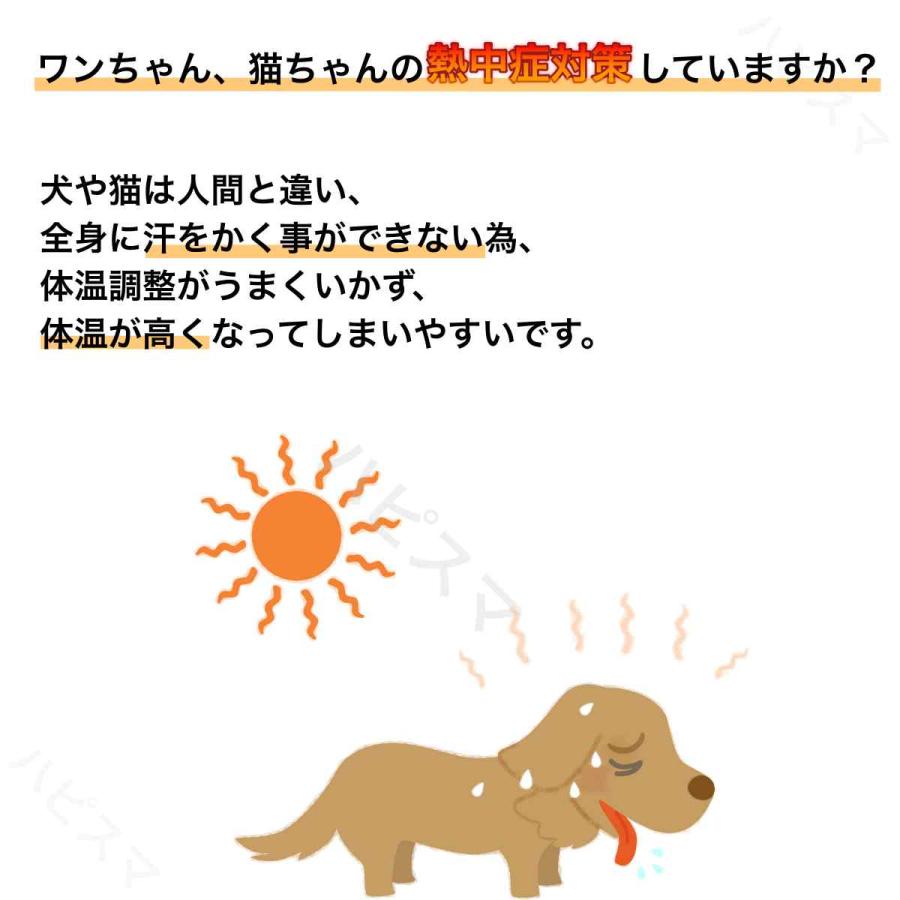 犬 ネッククーラー クールネック 保冷剤 クールバンド  クールバンダナ　ペット用　首　冷やす　熱中症対策　冷却　散歩 |  | 05