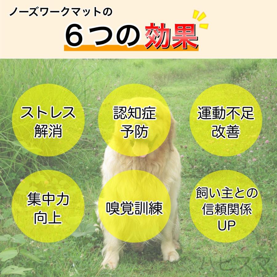 ノーズワーク　にんじん畑 ペット おもちゃ ペット用品 ストレス解消  運動不足解消 |  | 02