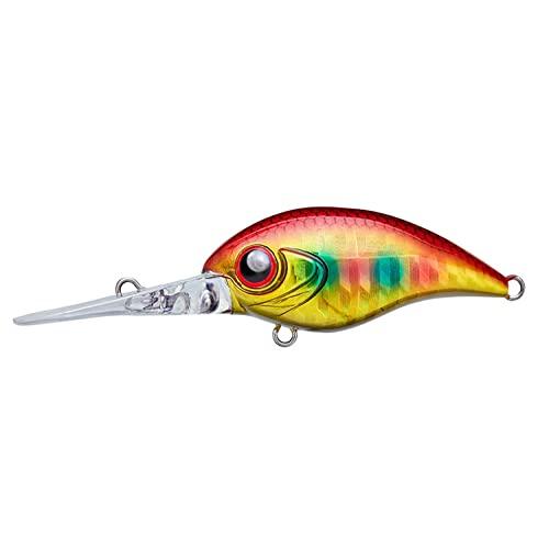 コーモラン(Cormoran) AquaWave ミヤビス MIYABIS 45DR #A131 アカキンシグナル 45mm | 