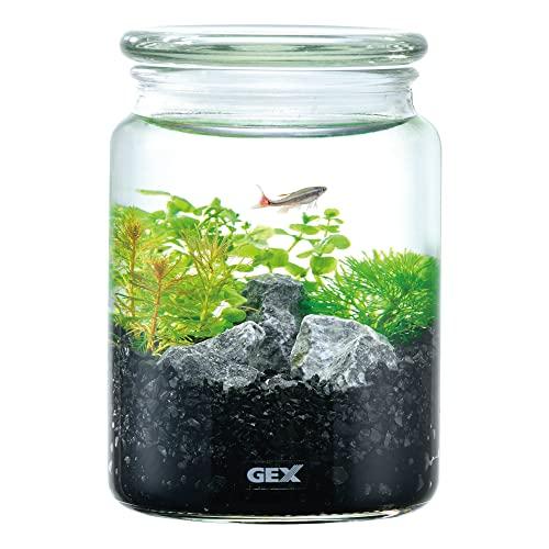 GEXジェックス ボトリウム ネイチャーセット ブラック | 