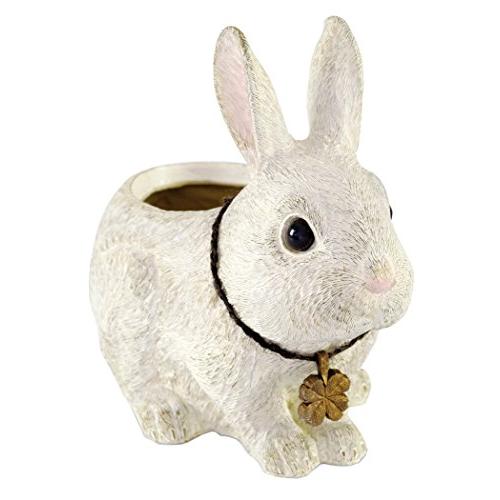 Kishima ラビッツファーム プランター(S) | 