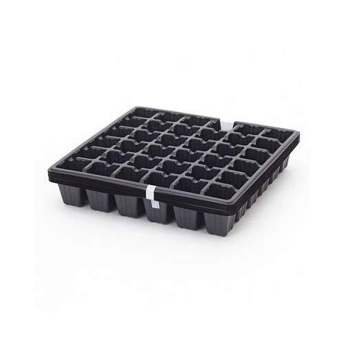 エフピコチューパ PSPP容器 セルボックス 36穴 外寸285×285×43.5mm セル穴41×41×7mm 6×6列 CP890796 1 | 
