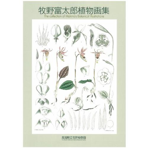 牧野富太郎植物画集 | 