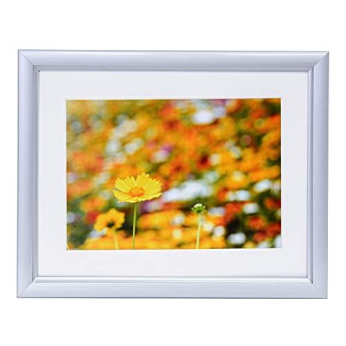 FUJICOLOR アルミ額縁 A32 キャビネ 2L シルバー 306617 | 