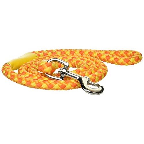 Meister(マイスター) M3854Y NEWドリームリード 黄 #12 | 