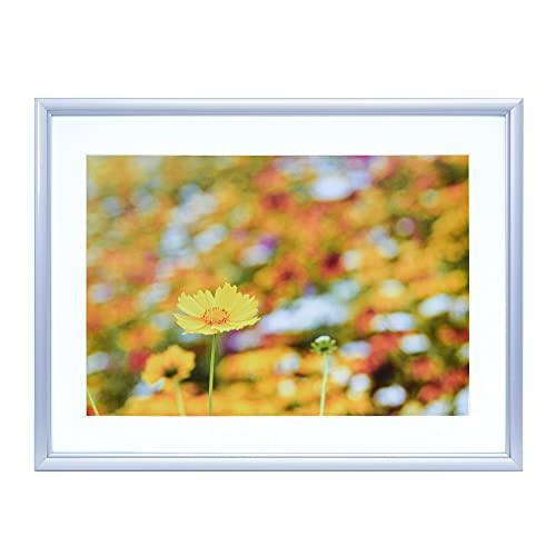 FUJICOLOR アルミ額縁 A32 ワイド4切 シルバー 306655 | 