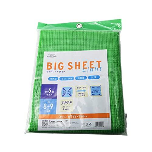 アサヒ興洋 レジャーシート 8〜9人用 6畳 グリーン ストッパーピン付き 軽量 丈夫 破れにくい 持ち運び 携帯 海水浴 ピクニック お花見 | 