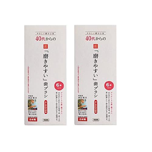 【お得な2個セット】歯ブラシ職人 田辺重吉考案 LT-59 40代からの「磨きやすい」歯ブラシ 先細毛（少しやわらかめ）6本セット×2個 | 
