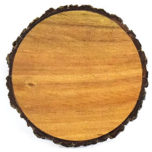 木製 食器 鍋敷 皿 プレート 直径約16cm konoka JA22-12-2s | 