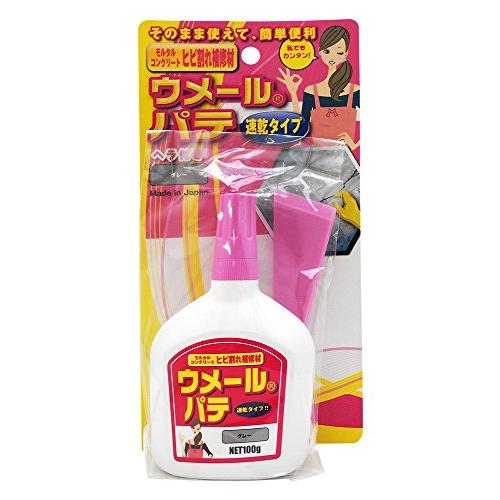 家庭化学工業 速乾 ウメールパテ 100g グレー ヘラ付き | 