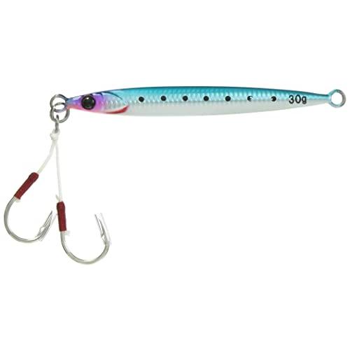 JACKALL(ジャッカル) メタルジグ ビッグバッカー JIG/SLIDE STICK 30g イワシグローベリー/ボーダーホロ. | 