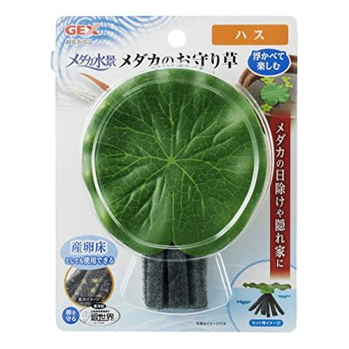 ジェックス GEX メダカ元気 メダカ水景 メダカのお守り草 ハス 浮き草 産卵床 メダカ | 