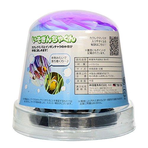 カミハタ いそぎんちゃくん パープル M サイズ | 