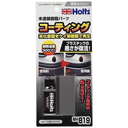 ホルツ 補修用品 無塗装樹脂パーツコーティング剤 耐熱温度300℃ 10ml Holts MH819 ケイ素コーディング | 
