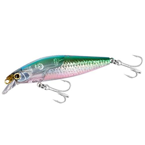 シマノ(SHIMANO) シーバスルアー ミノー エクスセンス サイレントアサシン 80S フラッシュブースト XM-280W 007 Nカタク | 