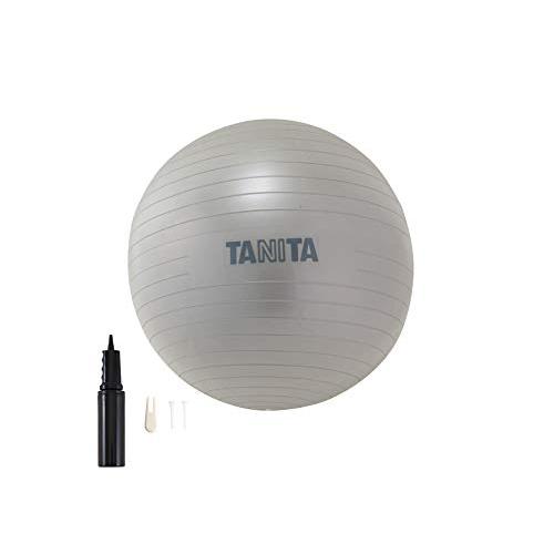 タニタ(Tanita) サイズ ジムボール TS-962 シルバー | 