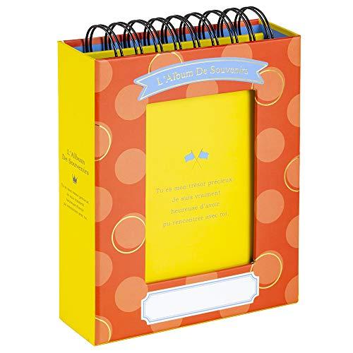 アルバム ナカバヤシ フォトランク フレームケースアルハ?ム タテ型 L判1段60枚 ポケットアルバム A-FTPT-301-R レッド | 