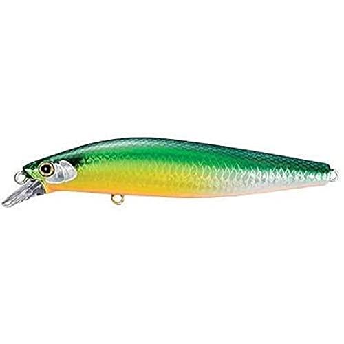 シマノ(SHIMANO) シーバスルアー ミノー エクスセンス サイレントアサシン 99SP ジェットブースト XM-099P 016 キョウリ | 